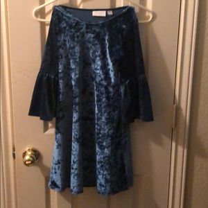 Blue Velvet dress
